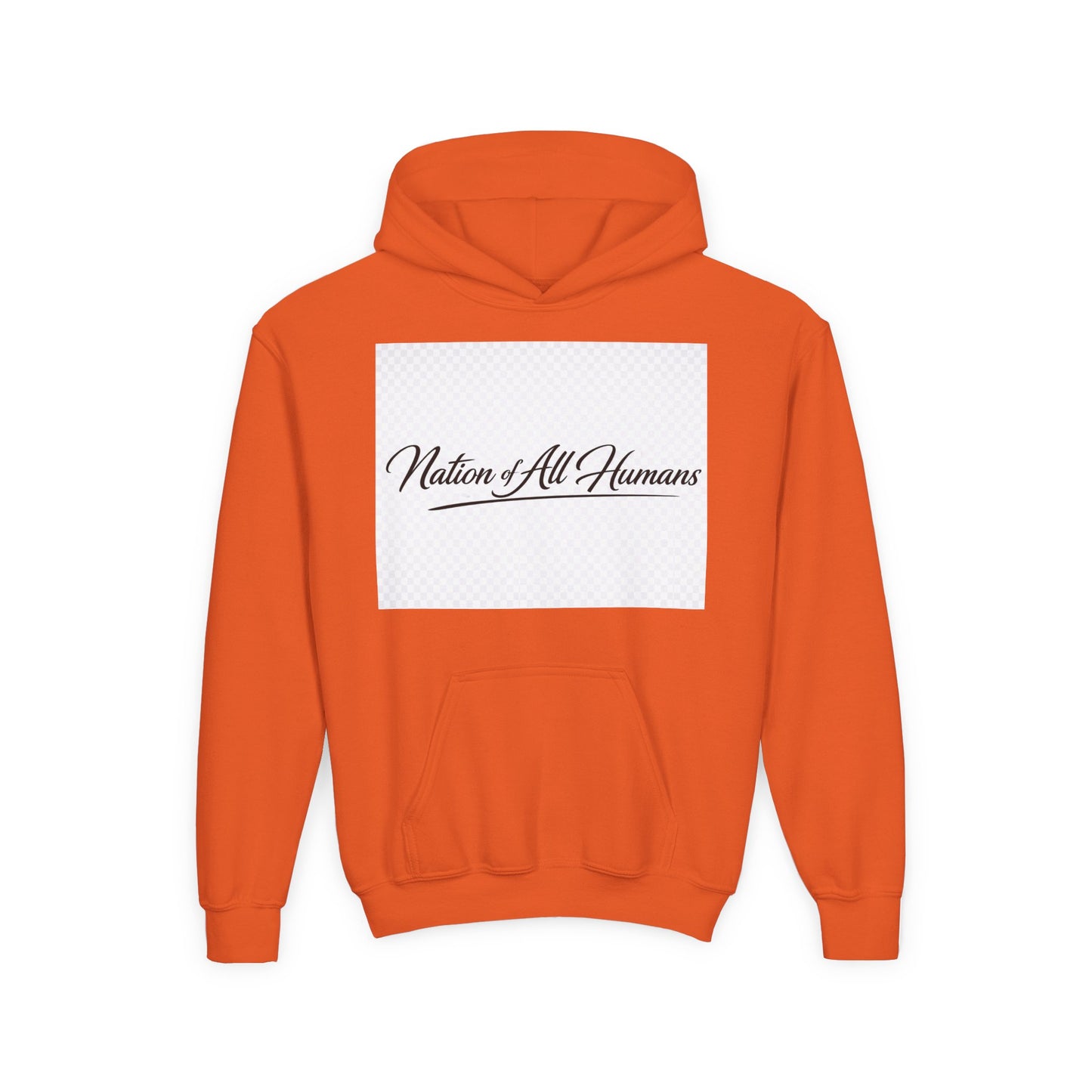 Youth Hoodie - Nation of All Humans™ (N.O.A.H™)" Graphic Astronaut Logo Hoodie